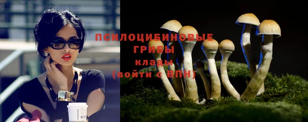 apvp Алексеевка