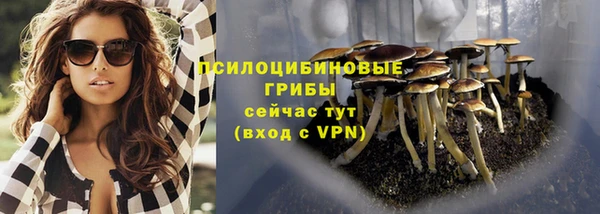 apvp Алексеевка